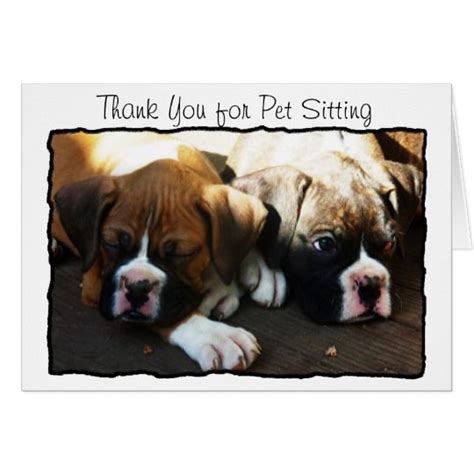 Thank You For Pet Sitting Boxer Greeting Card Pets