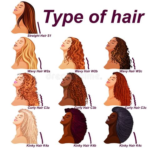 Share 74+ hair texture diagram latest - in.eteachers