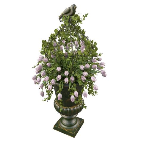 Vaso sospeso con fiori bianchi. Fiori Bianchi Dei Tulipani In Vaso Illustrazione di Stock - Illustrazione di domestico ...
