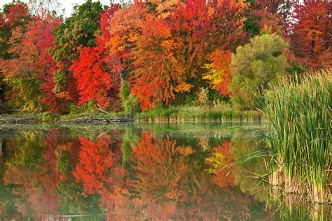 check out fall morning on the fall color report on wisconsin travel