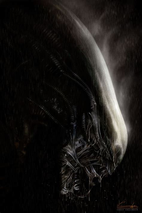 400 Best Images About Alien Xenomorphs On Pinterest Xenomorph
