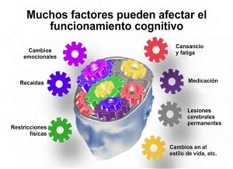 preguntas sobre Esclerosis Múltiple y funciones cognitivas EM Euskadi