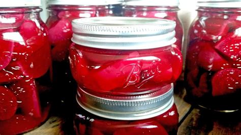 Amish Canned Pickled Beets Recipe
