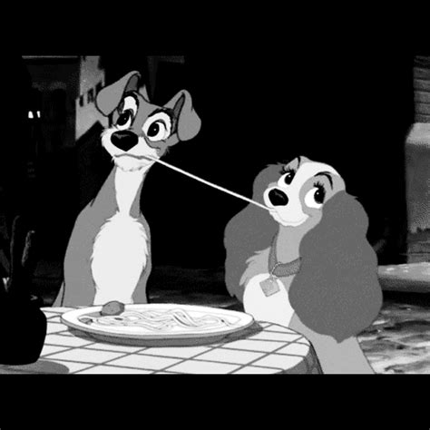 Lady And The Tramp Pictures Photos And Images For