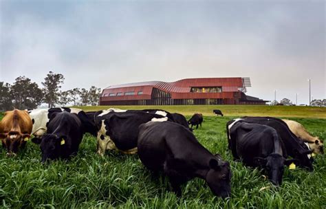 Australian Dairy Farm Is Updated With Solar Powered Grass To Gate