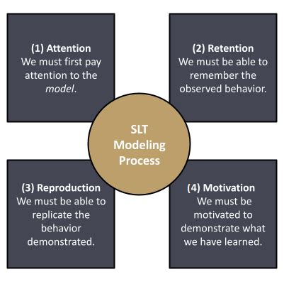 What Is Bandura S Social Learning Theory Examples