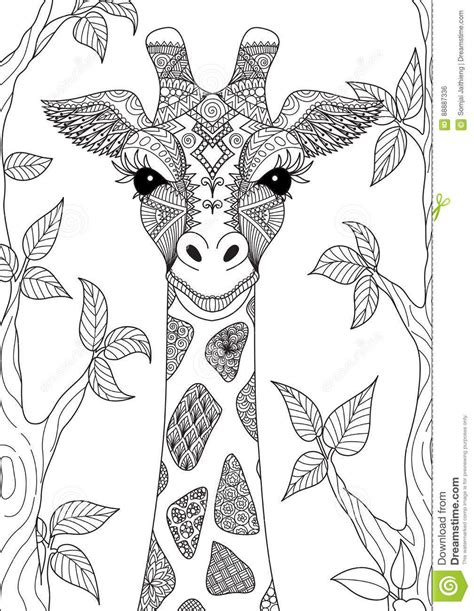 Giraffe Stock Vector Illustration Of Monochrome Doodle 88887336 Adult Coloring Book Pages