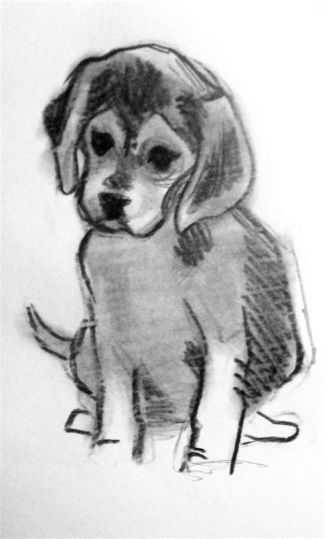 Tegning Af Hunde Tegninger Dyr