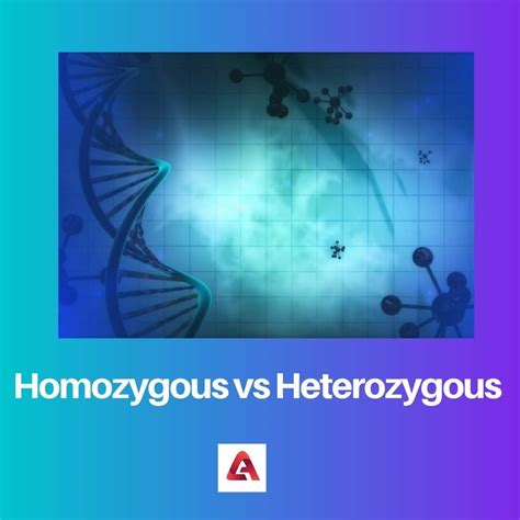 Homozygous Vs Heterozygous Difference And Comparison