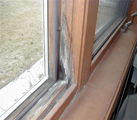 Remove mold from window sills. Window Cleaning: Cleaning Mold From Window Sills