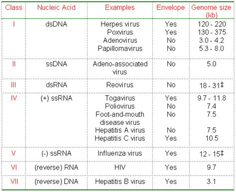 Medical Microbiology Evolution Of Virus Is It Fitting Right