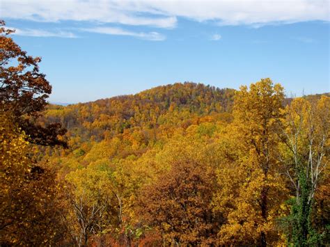 Free Images Tree Nature Wilderness Mountain Trail Meadow