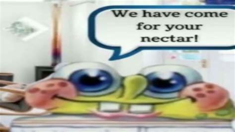 We Have Come For Your Nectar Youtube