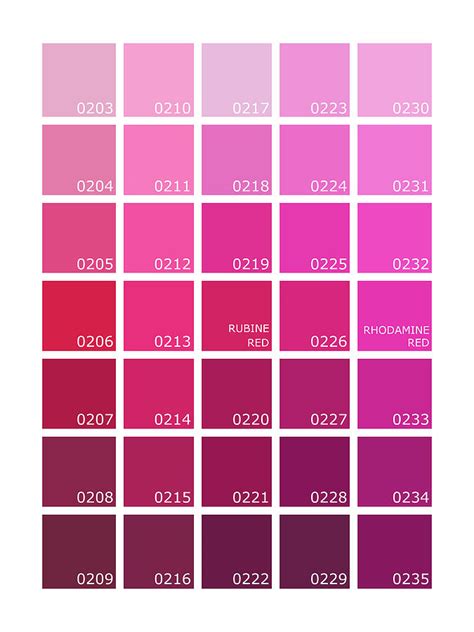 Different Kinds Of Pink