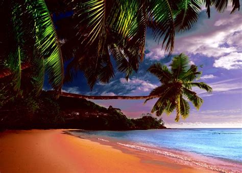Tropical Island Paradise