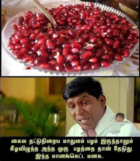 Tamil Memes Latest Content Page 106 Jilljuck 90s Kids Poochi Meme