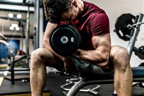 It needs to be so deeply integrated that you roll around confused at night. Is Working Out One Muscle Group a Week Enough? - YEG Fitness