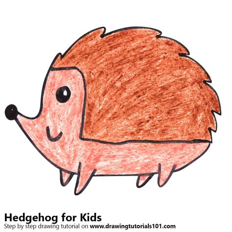 Learn How To Draw A Hedgehog For Kids Animals For Kids Step By Step