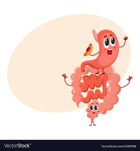 Cute And Funny Smiling Healthy Bowel Intestine Vector Image