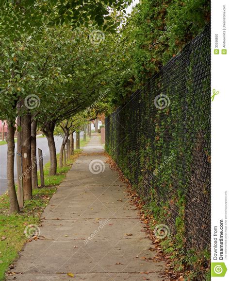 A wide variety of natur canopy options are available to you, such as operation method, material, and combo set offered. Natural Sidewalk Canopy stock photo. Image of trees ...