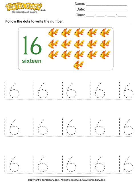 Trace The Number Sixteen Turtle Diary Worksheet