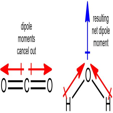 How Do You Find A Molecule S Dipole And Net Dipole Moment Study Com