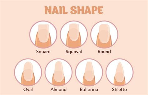 7 different nail shapes how to shape your nails perfectly different nail shapes nail shapes