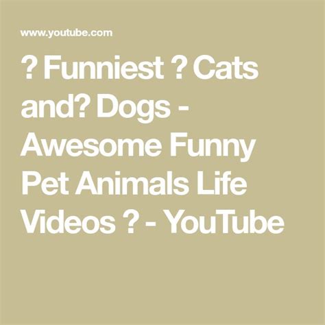 🤣 Funniest 😻 Cats And🐶 Dogs Awesome Funny Pet Animals Life Videos 😇