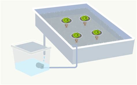 Ebb And Flow Flood And Drain Hydroponic System