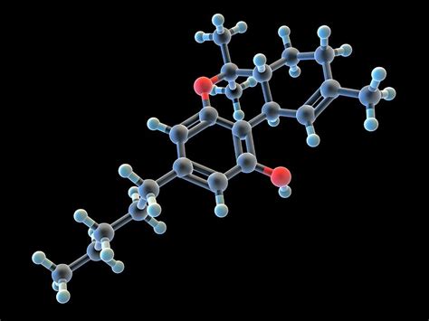 Tetrahydrocannabinol Thc Drug Molecule 1 Photograph By Alfred Pasieka