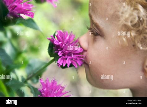 Little Girl Smelling Flower Stock Photo Alamy