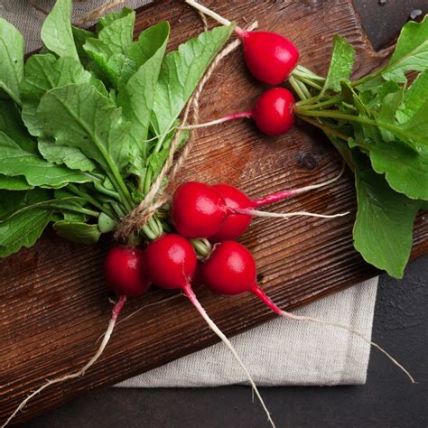 Características Y Usos Del Rábano Pedacito De Campo