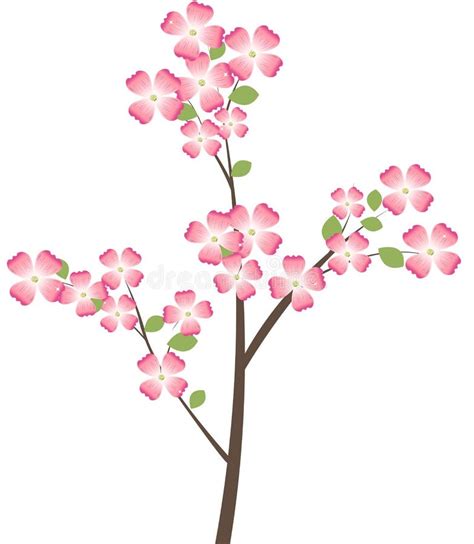 Dogwood Tree Flower Clip Art Png Clipart