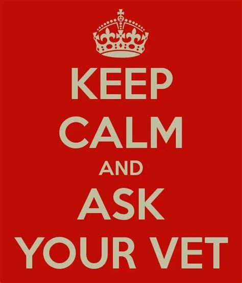 When In Doubt Ask Your Vet Keep Calm And Drink Keep Calm And Love