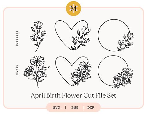 Birth Flower Svgs April Daisy Sweetpea Floral Flowers Etsy