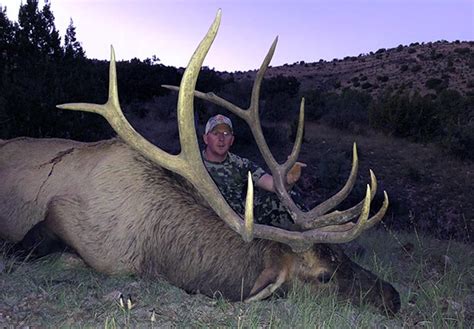 New Mexico Trophy Elk Hunt With Compass West Outfitters Pro