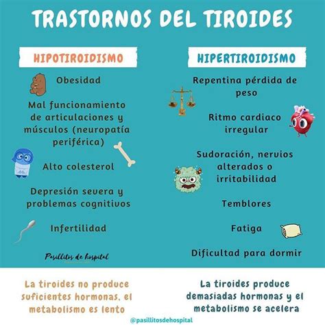 Trastornos De La Tiroides Hipertiroidismo E Hipotiroidismo Med Lab
