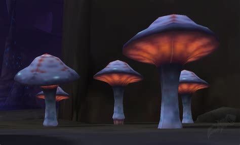 Mysterious Mushroom Npc World Of Warcraft