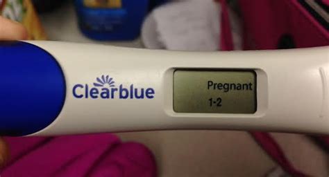Pregnant Test Telegraph