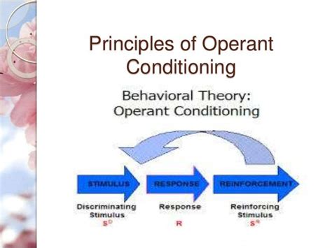 Operant Conditioning By Bf Skinner