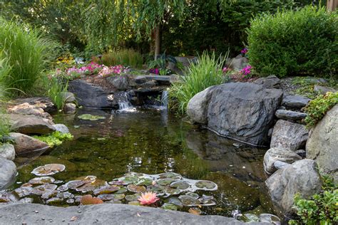 Diy Pools Ponds And Fountains This Old House