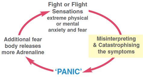 This ‘mistake Leads To A Cycle Of Fear Adrenaline Fear Adrenaline