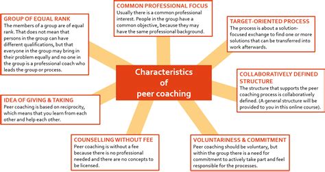 °EmployID Peer Coaching Concept - Basics | EmployID MOOC