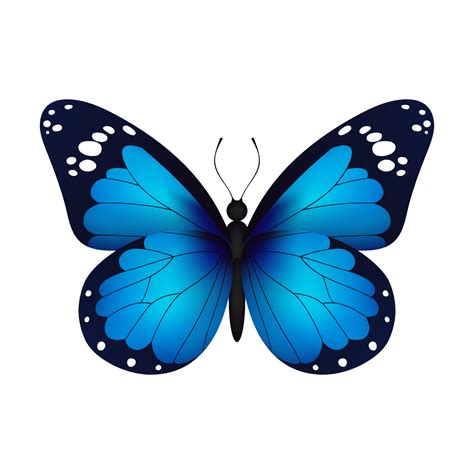 Blue Butterfly Images Clipart B83