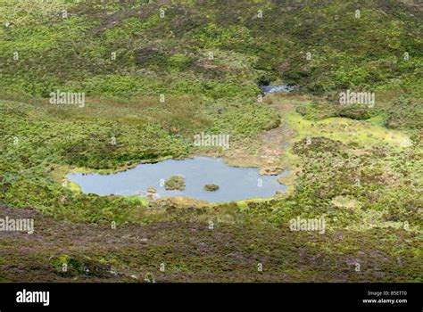 Migneint A Welsh Upland Habitat Area In North Wales A Special Area Of
