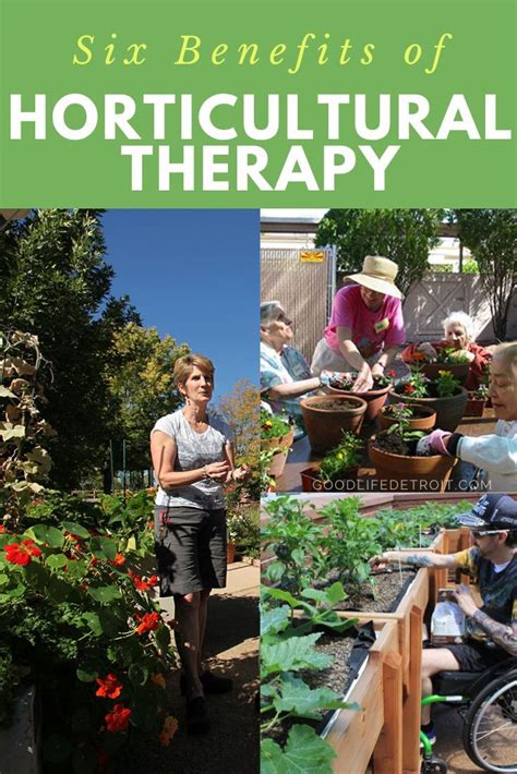 Horticultural Therapy Offers Healing And Rehabilitation Benefits