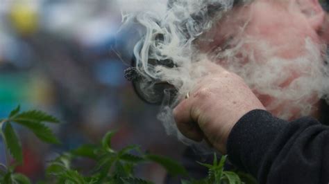 want to buy legal pot on oct 17 here s what you need to know cbc news