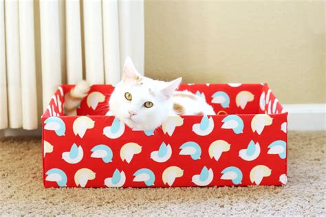 How To Make An Easy And Stylish Cardboard Box Cat Bed Your Purrfect Kitty