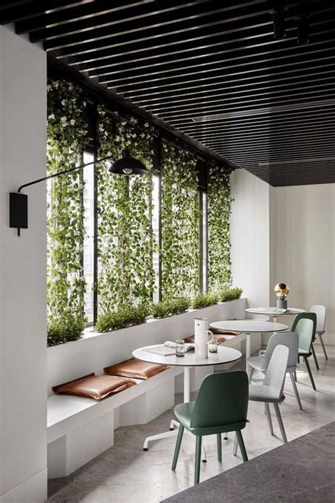 32 Office Plants Youll Want To Adopt Modern Office Design Office