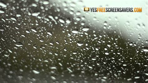 Rain Screensaver — Download Rain Screensaver For Windows 7 Youtube